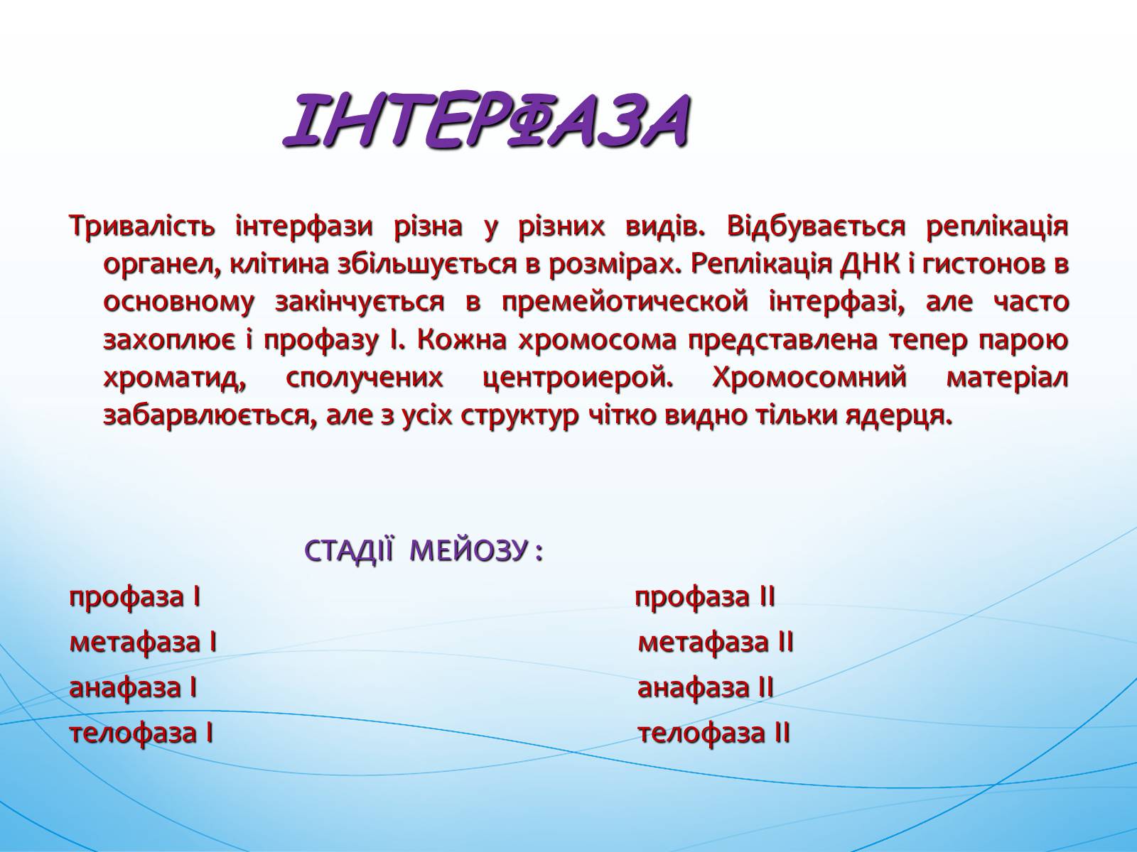 Презентація на тему «Мейоз» (варіант 1) - Слайд #3 Презентація на тему «Мейоз» (варіант 1) - Слайд #3