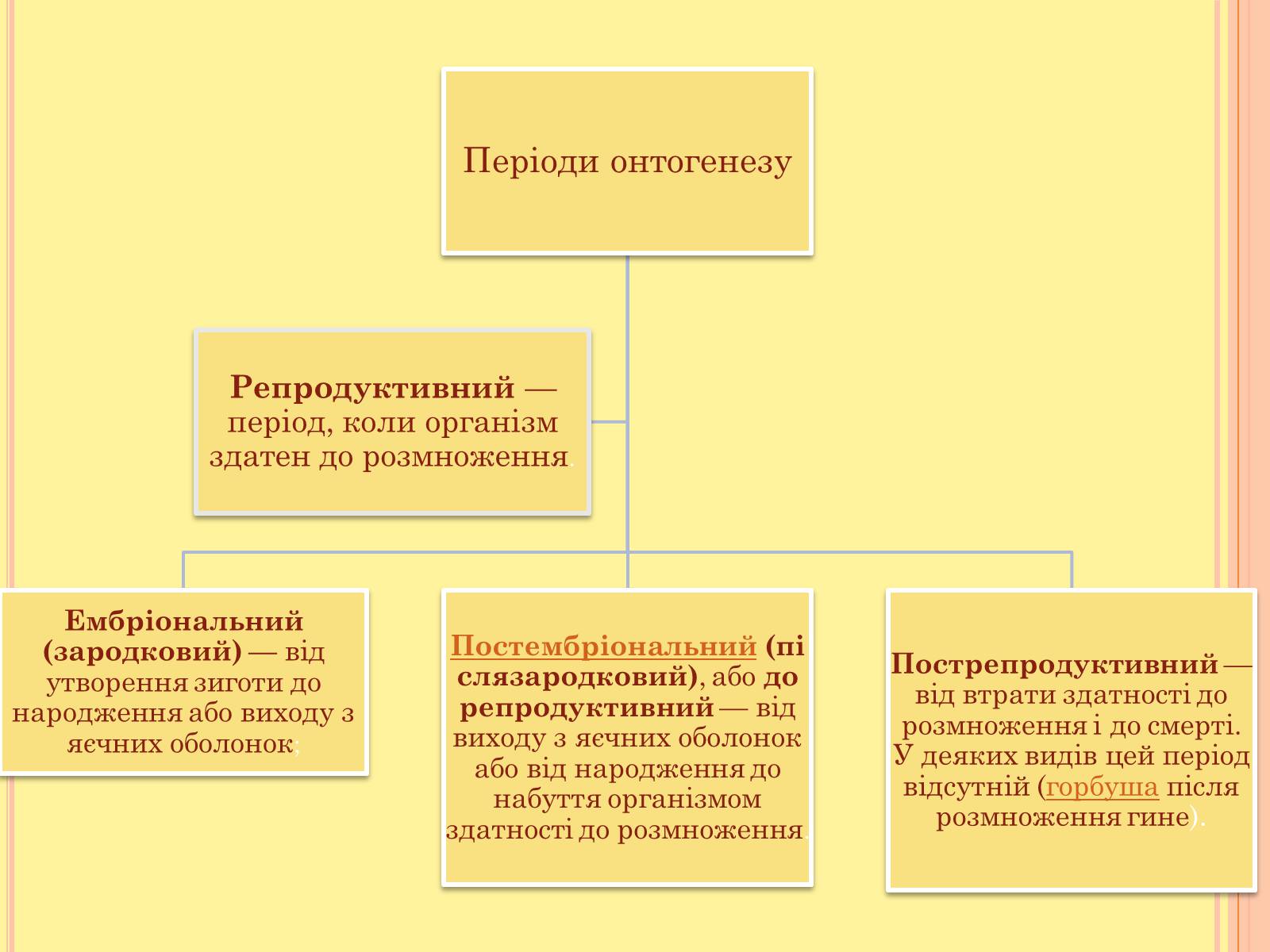 Презентація на тему «Онтогенез» (варіант 4) - Слайд #3 Презентація на тему «Онтогенез» (варіант 4) - Слайд #3