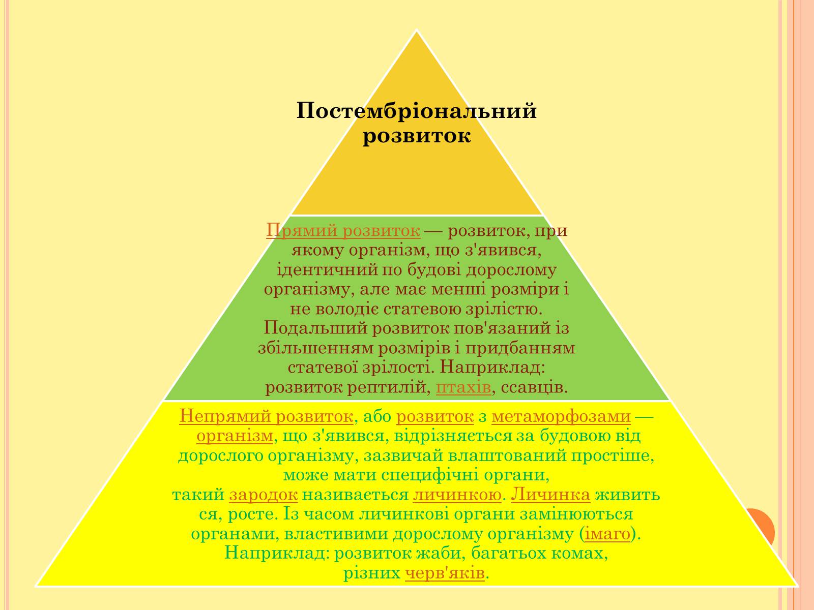 Презентація на тему «Онтогенез» (варіант 4) - Слайд #9 Презентація на тему «Онтогенез» (варіант 4) - Слайд #9
