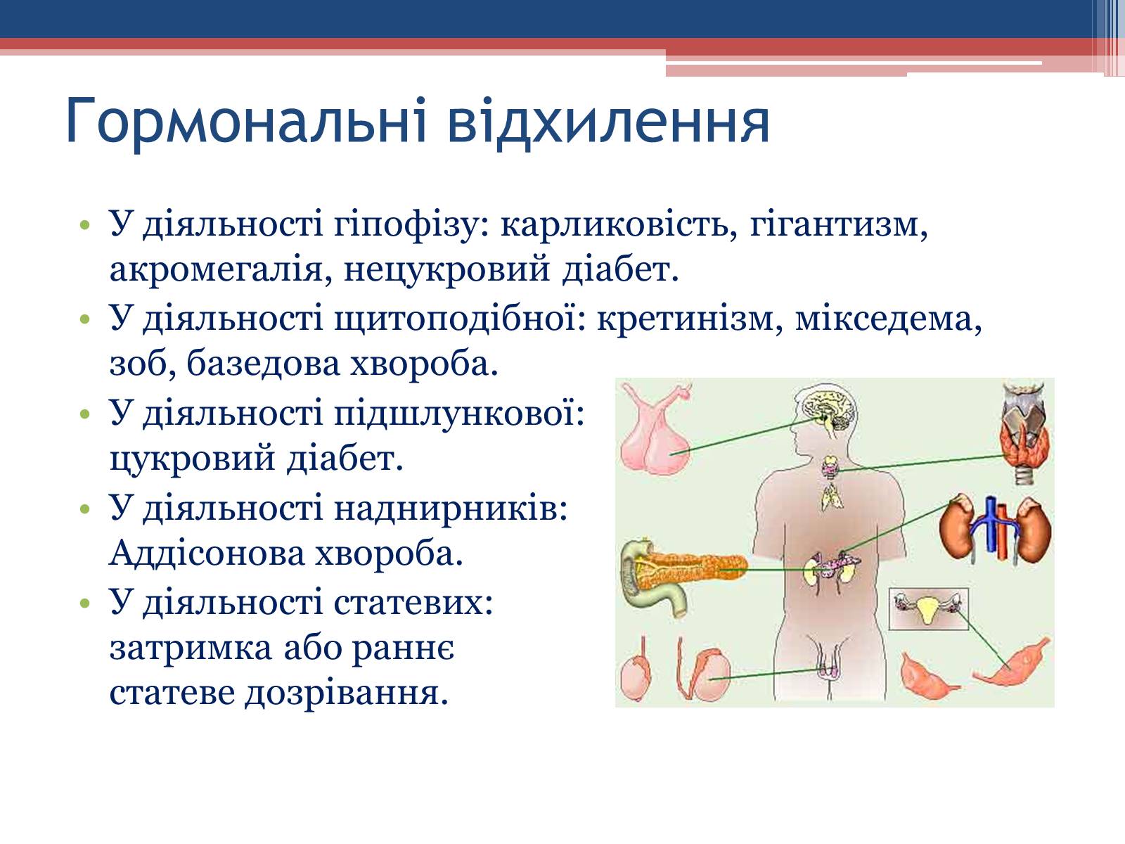Презентація на тему «Порушення гормональних функцій ендокринних залоз» - Слайд #2 Презентація на тему «Порушення гормональних функцій ендокринних залоз» - Слайд #2