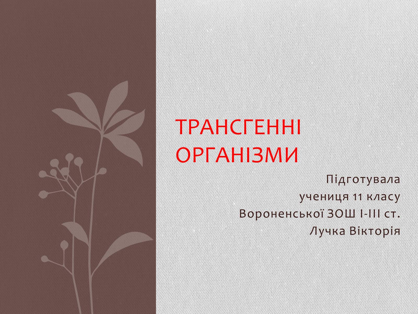 Презентація на тему «Трансгенні організми» (варіант 5) - Слайд #1 Презентація на тему «Трансгенні організми» (варіант 5) - Слайд #1