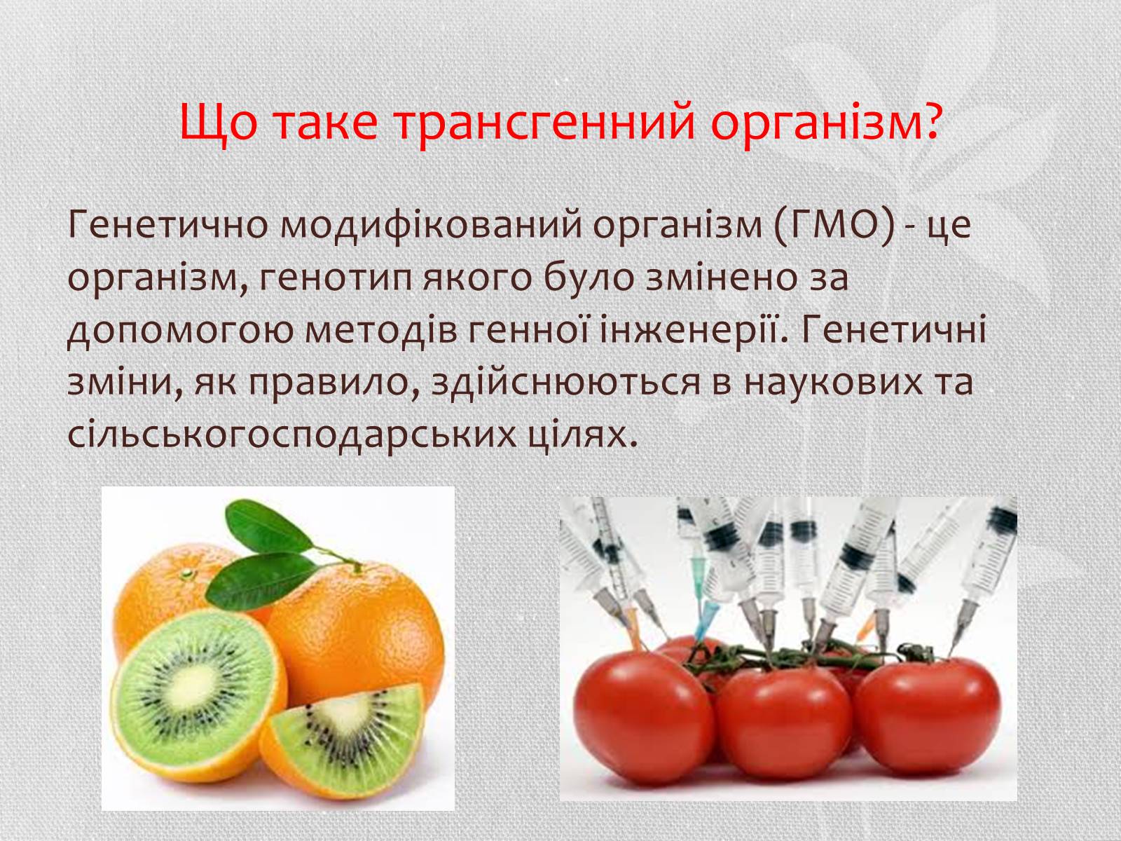 Презентація на тему «Трансгенні організми» (варіант 5) - Слайд #2 Презентація на тему «Трансгенні організми» (варіант 5) - Слайд #2