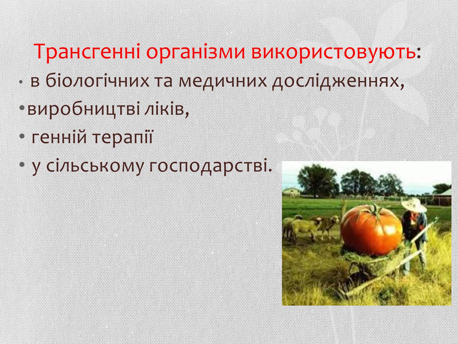 Презентація на тему «Трансгенні організми» (варіант 5) - Слайд #4 Презентація на тему «Трансгенні організми» (варіант 5) - Слайд #4