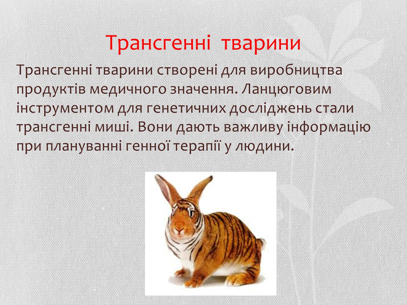 Презентація на тему «Трансгенні організми» (варіант 5) - Слайд #6 Презентація на тему «Трансгенні організми» (варіант 5) - Слайд #6