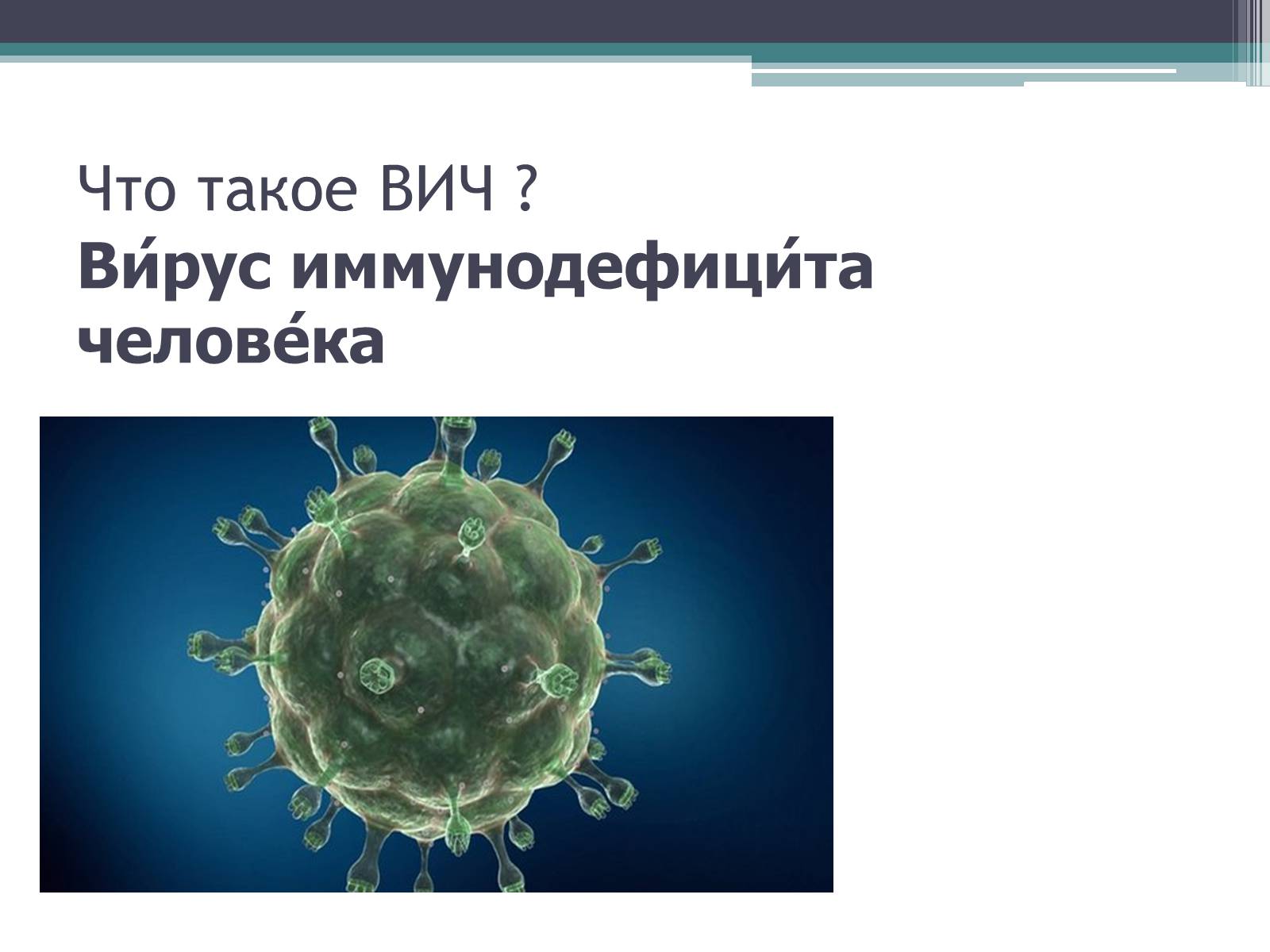 Презентація на тему «Что такое иммунитет с биологической точки зрения?» - Слайд #6 Презентація на тему «Что такое иммунитет с биологической точки зрения?» - Слайд #6