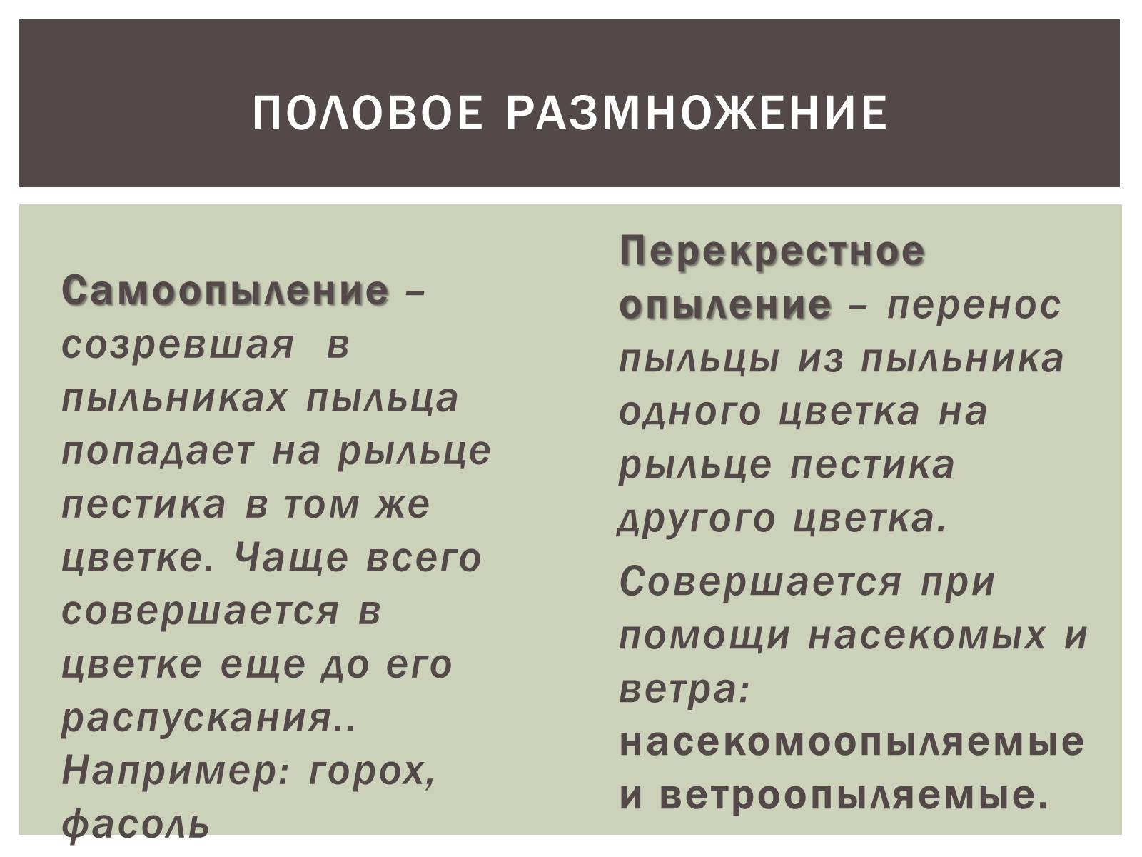 Презентація на тему «Размножение растений» - Слайд #4 Презентація на тему «Размножение растений» - Слайд #4