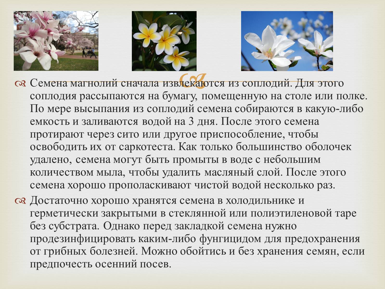 Презентація на тему «Размножение растений» - Слайд #9 Презентація на тему «Размножение растений» - Слайд #9