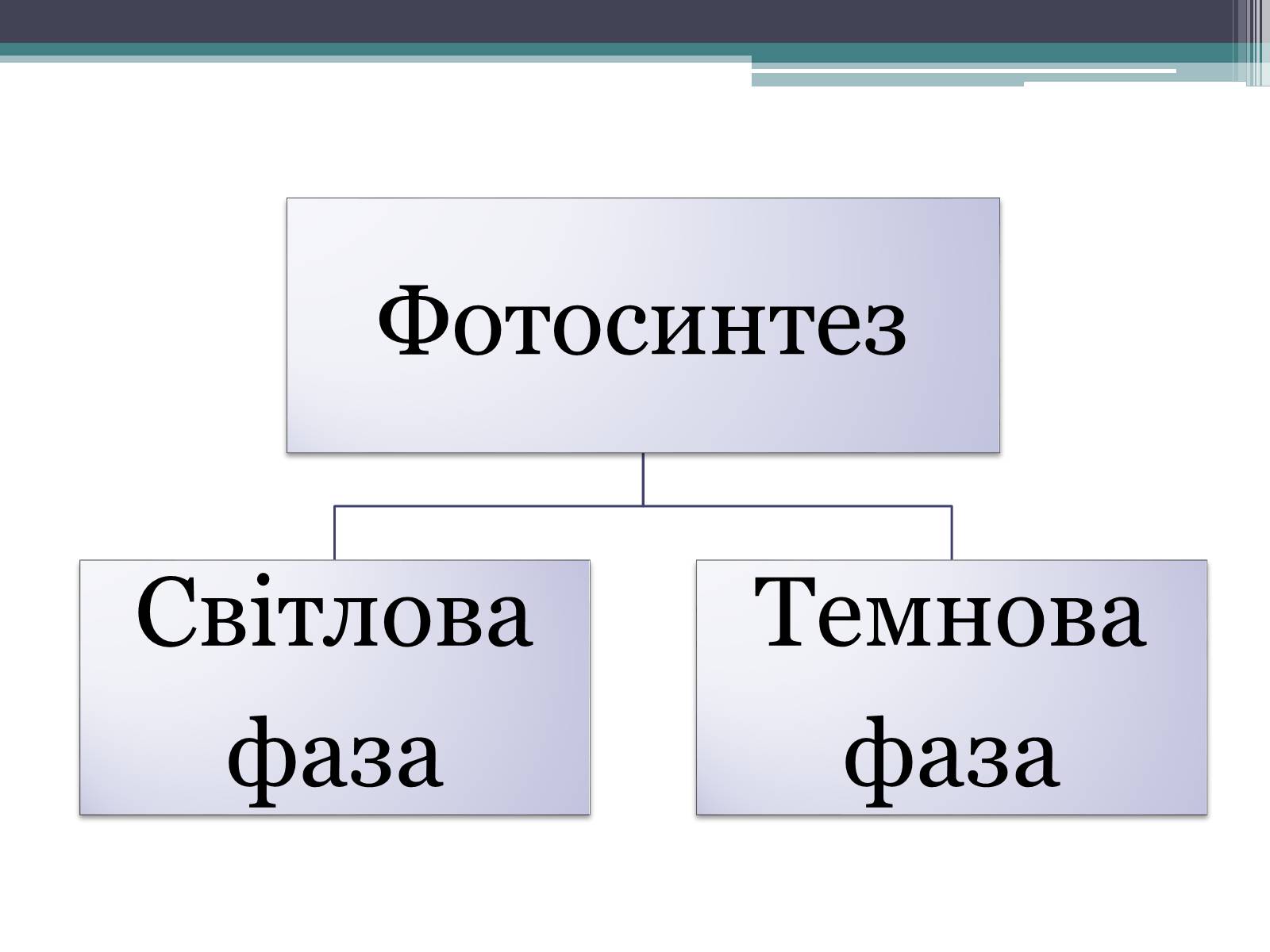 Презентація на тему «Фотосинтез» (варіант 8) - Слайд #6 Презентація на тему «Фотосинтез» (варіант 8) - Слайд #6
