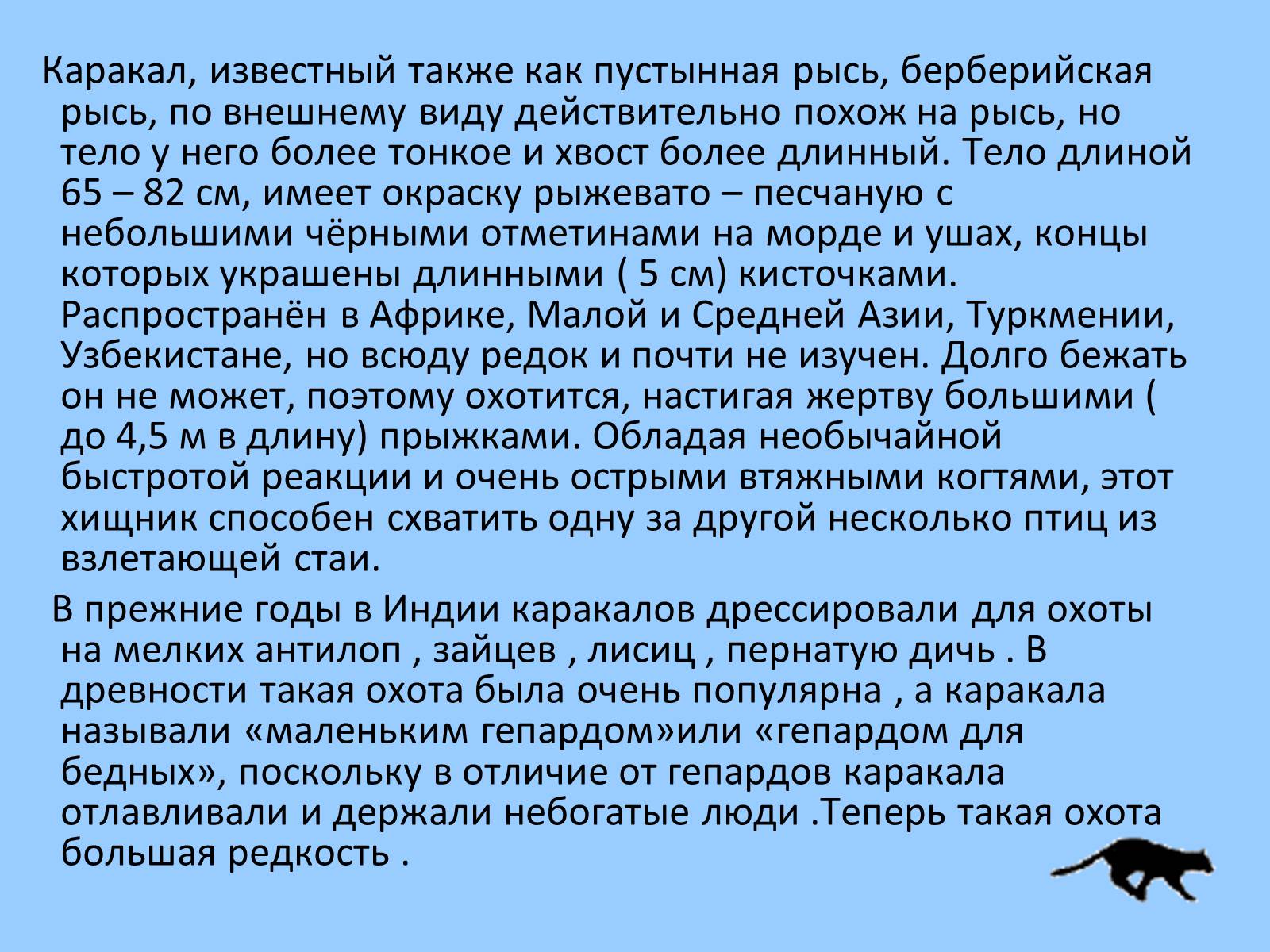 Презентація на тему «Дикие кошки» - Слайд #5 Презентація на тему «Дикие кошки» - Слайд #5