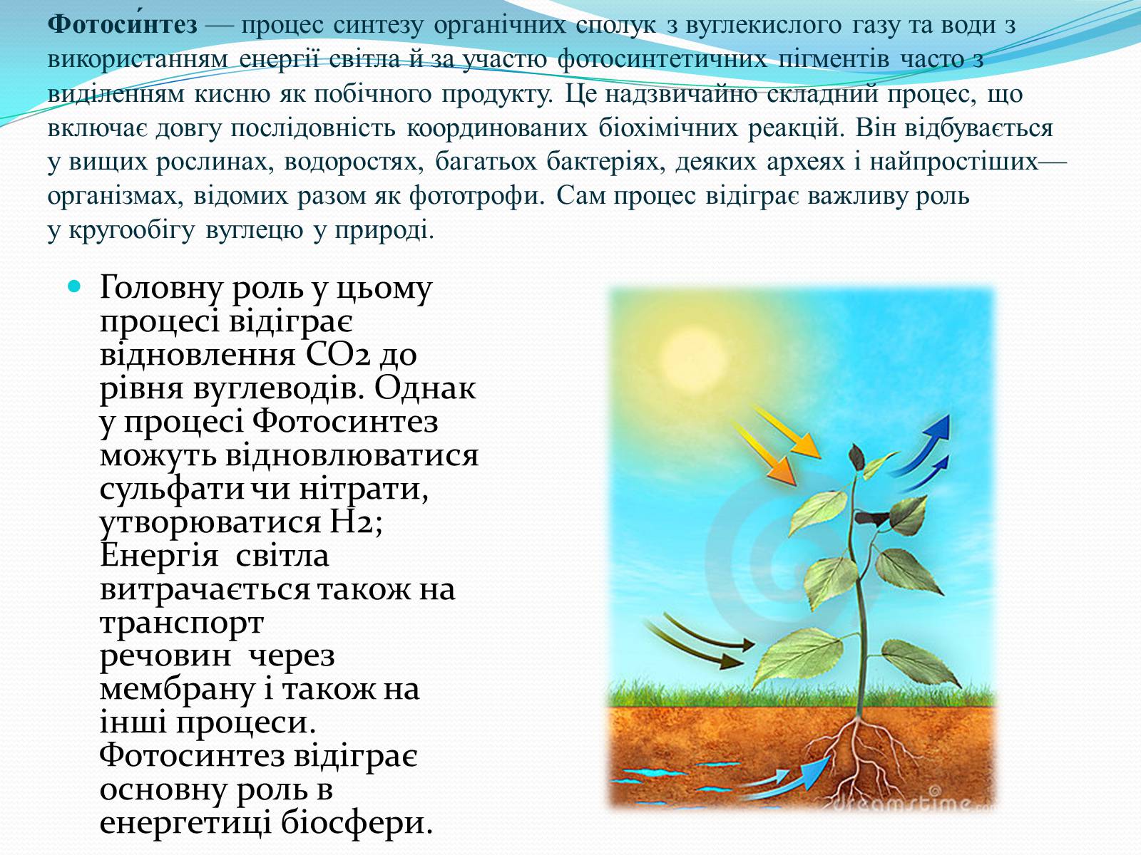Презентація на тему «Історія дослідження фотосинтезу» - Слайд #2 Презентація на тему «Історія дослідження фотосинтезу» - Слайд #2