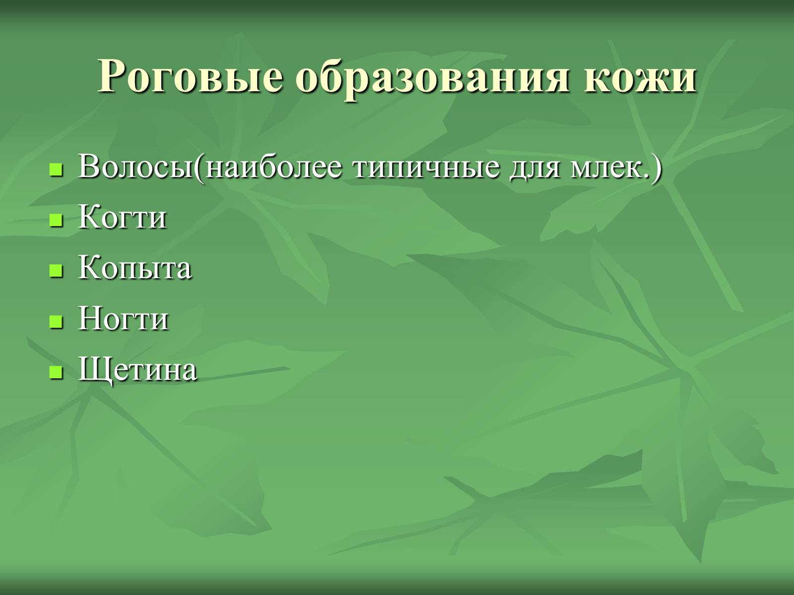 Презентація на тему «Класс Млекопитающие» (варіант 1) - Слайд #14 Презентація на тему «Класс Млекопитающие» (варіант 1) - Слайд #14