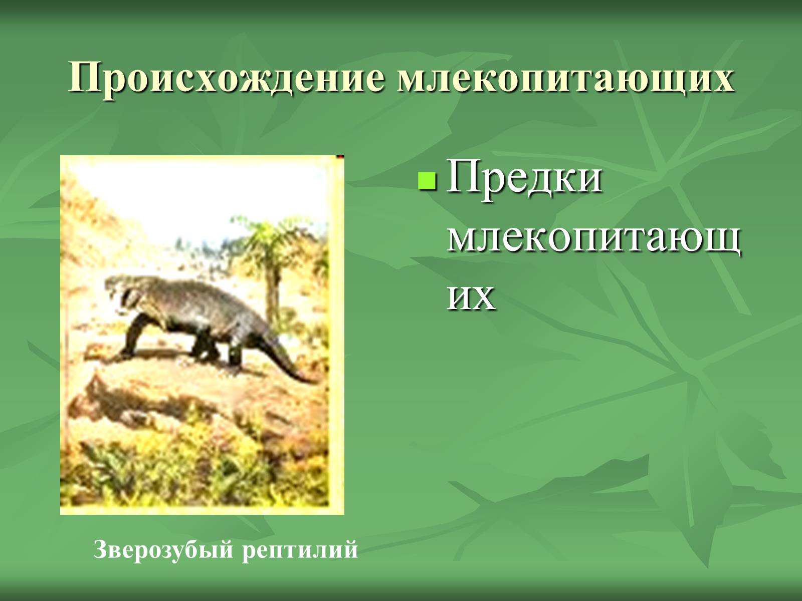Презентація на тему «Класс Млекопитающие» (варіант 1) - Слайд #7 Презентація на тему «Класс Млекопитающие» (варіант 1) - Слайд #7