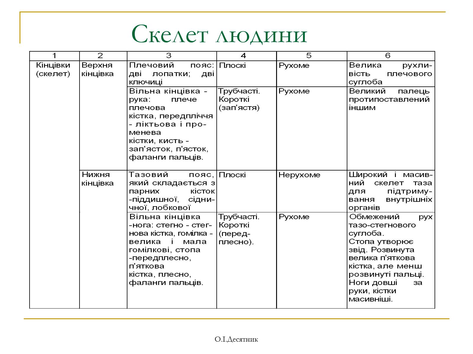Презентація на тему «Система органів опори і руху» - Слайд #11 Презентація на тему «Система органів опори і руху» - Слайд #11
