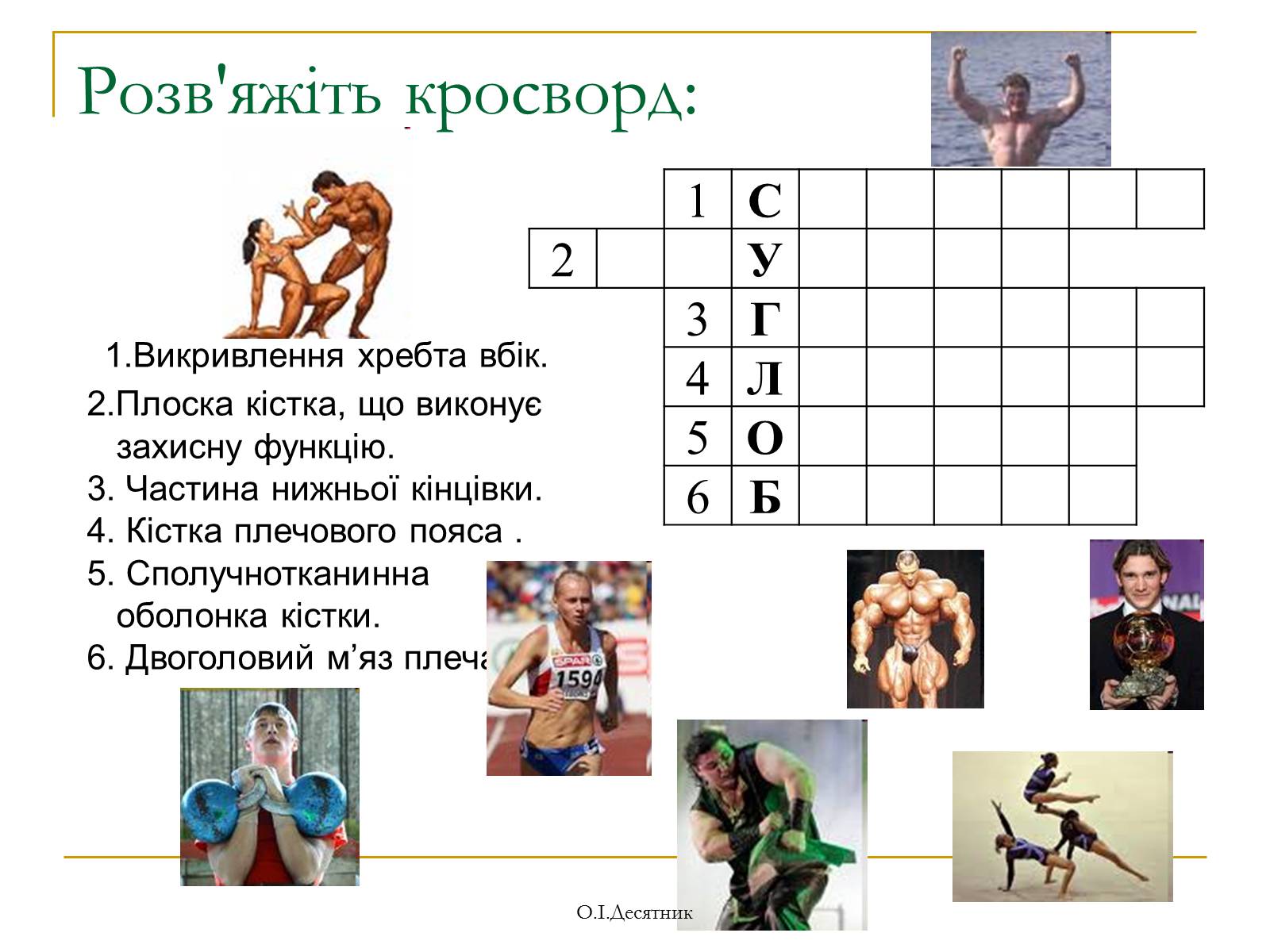 Презентація на тему «Система органів опори і руху» - Слайд #16 Презентація на тему «Система органів опори і руху» - Слайд #16