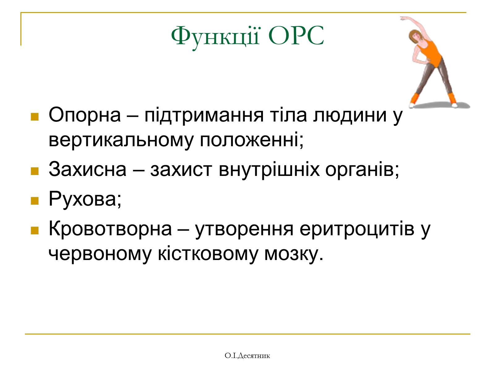 Презентація на тему «Система органів опори і руху» - Слайд #3 Презентація на тему «Система органів опори і руху» - Слайд #3