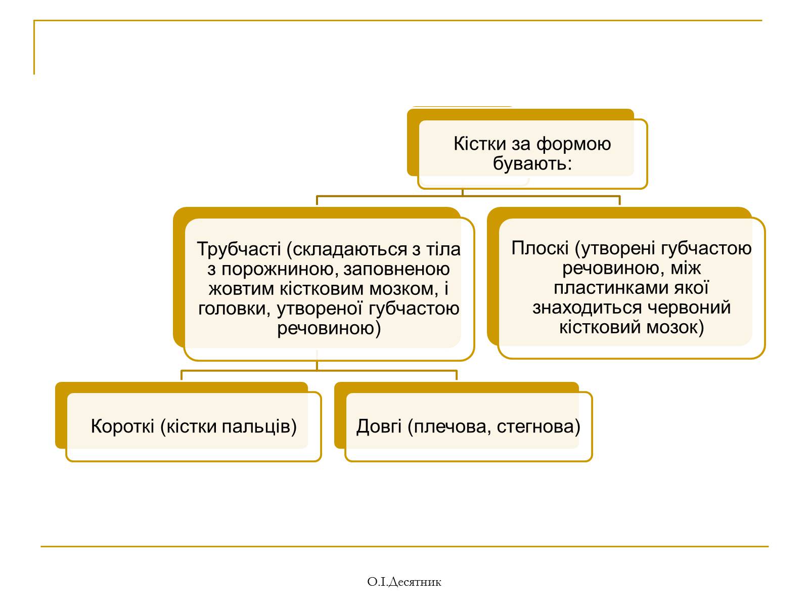 Презентація на тему «Система органів опори і руху» - Слайд #5 Презентація на тему «Система органів опори і руху» - Слайд #5