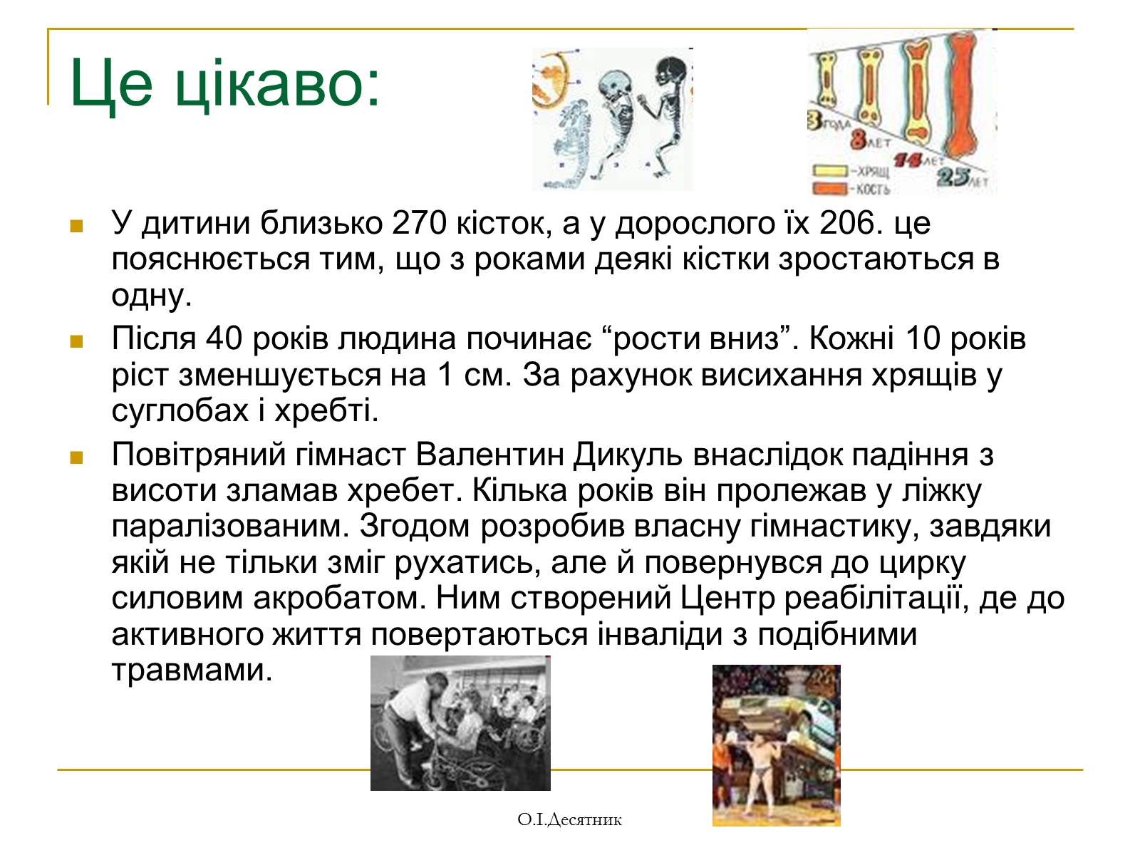 Презентація на тему «Система органів опори і руху» - Слайд #9 Презентація на тему «Система органів опори і руху» - Слайд #9