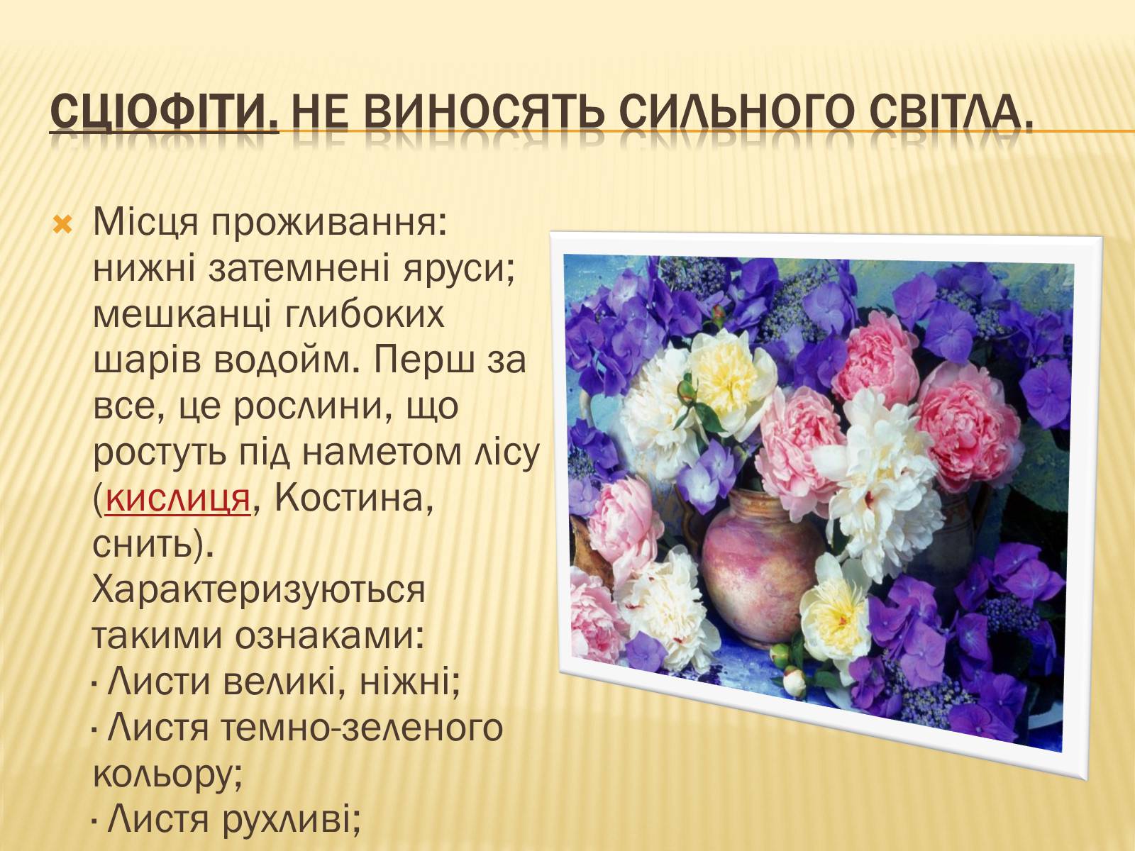Презентація на тему «Вплив свіТла на рослини» - Слайд #13 Презентація на тему «Вплив свіТла на рослини» - Слайд #13