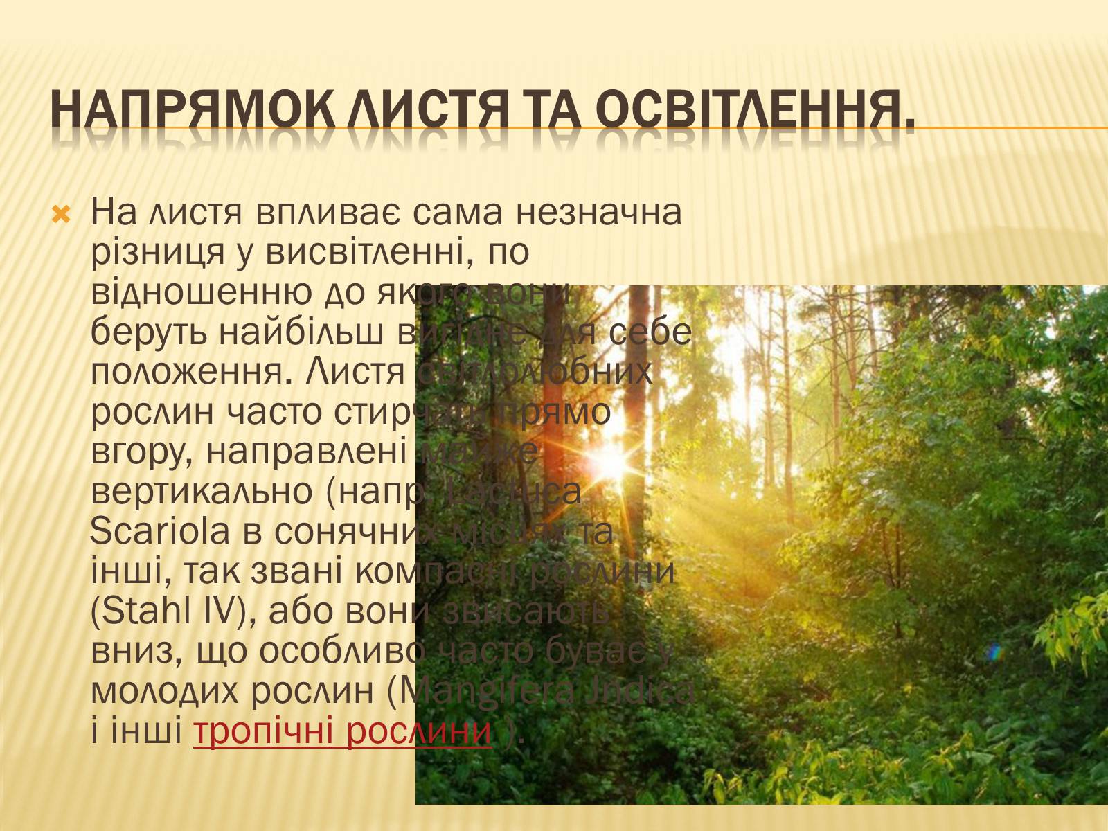 Презентація на тему «Вплив свіТла на рослини» - Слайд #17 Презентація на тему «Вплив свіТла на рослини» - Слайд #17