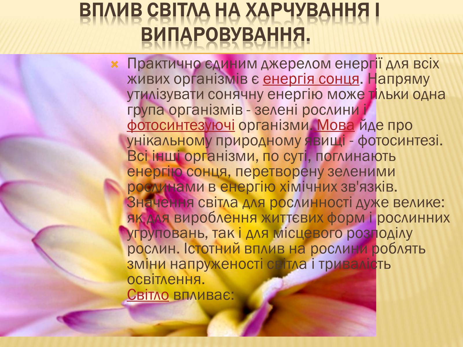 Презентація на тему «Вплив свіТла на рослини» - Слайд #3 Презентація на тему «Вплив свіТла на рослини» - Слайд #3