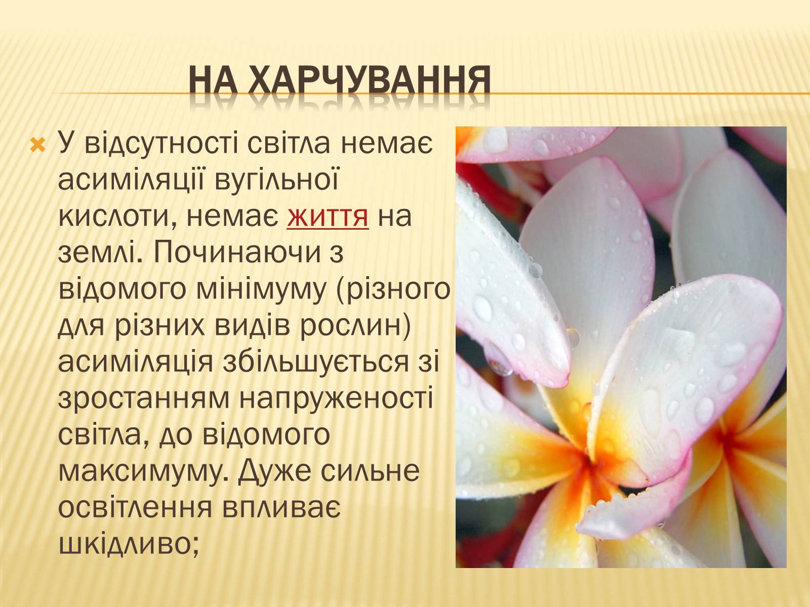 Презентація на тему «Вплив свіТла на рослини» - Слайд #4 Презентація на тему «Вплив свіТла на рослини» - Слайд #4