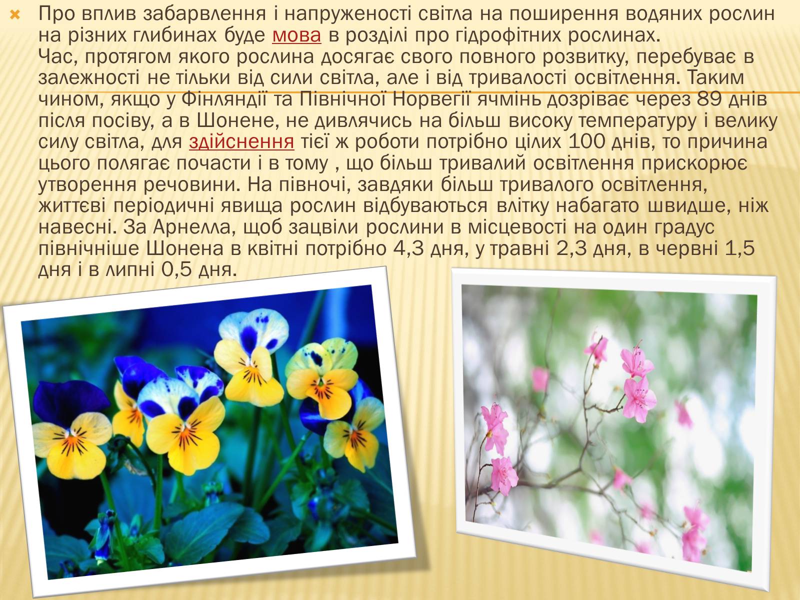 Презентація на тему «Вплив свіТла на рослини» - Слайд #7 Презентація на тему «Вплив свіТла на рослини» - Слайд #7