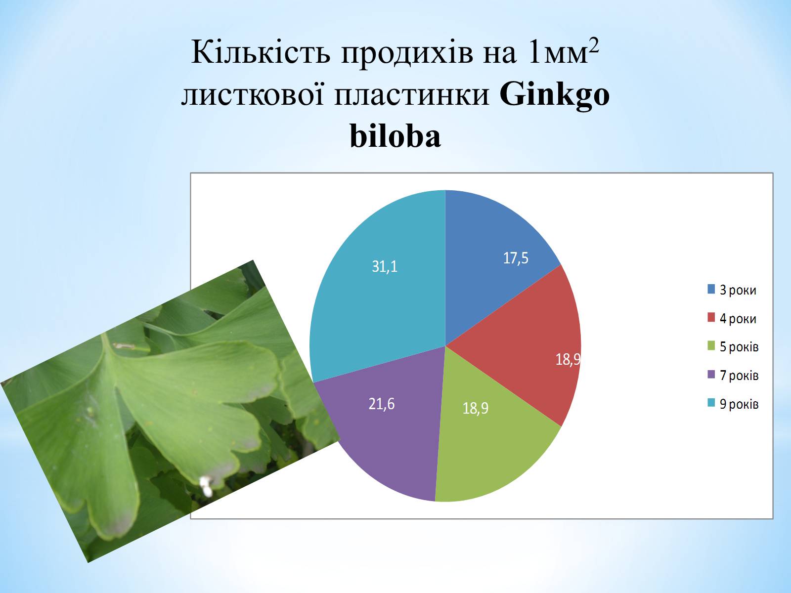 Презентація на тему «Особливості вирощування Гінкго Двоплатове» - Слайд #14 Презентація на тему «Особливості вирощування Гінкго Двоплатове» - Слайд #14