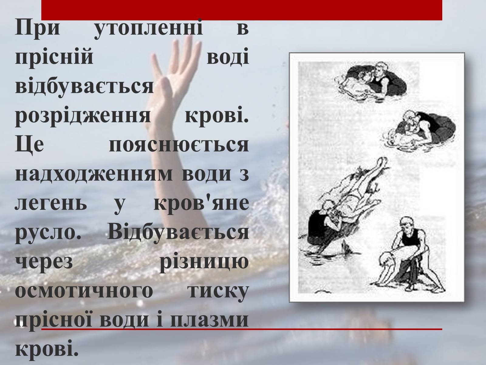 Презентація на тему «Утоплення» (варіант 2) - Слайд #9 Презентація на тему «Утоплення» (варіант 2) - Слайд #9