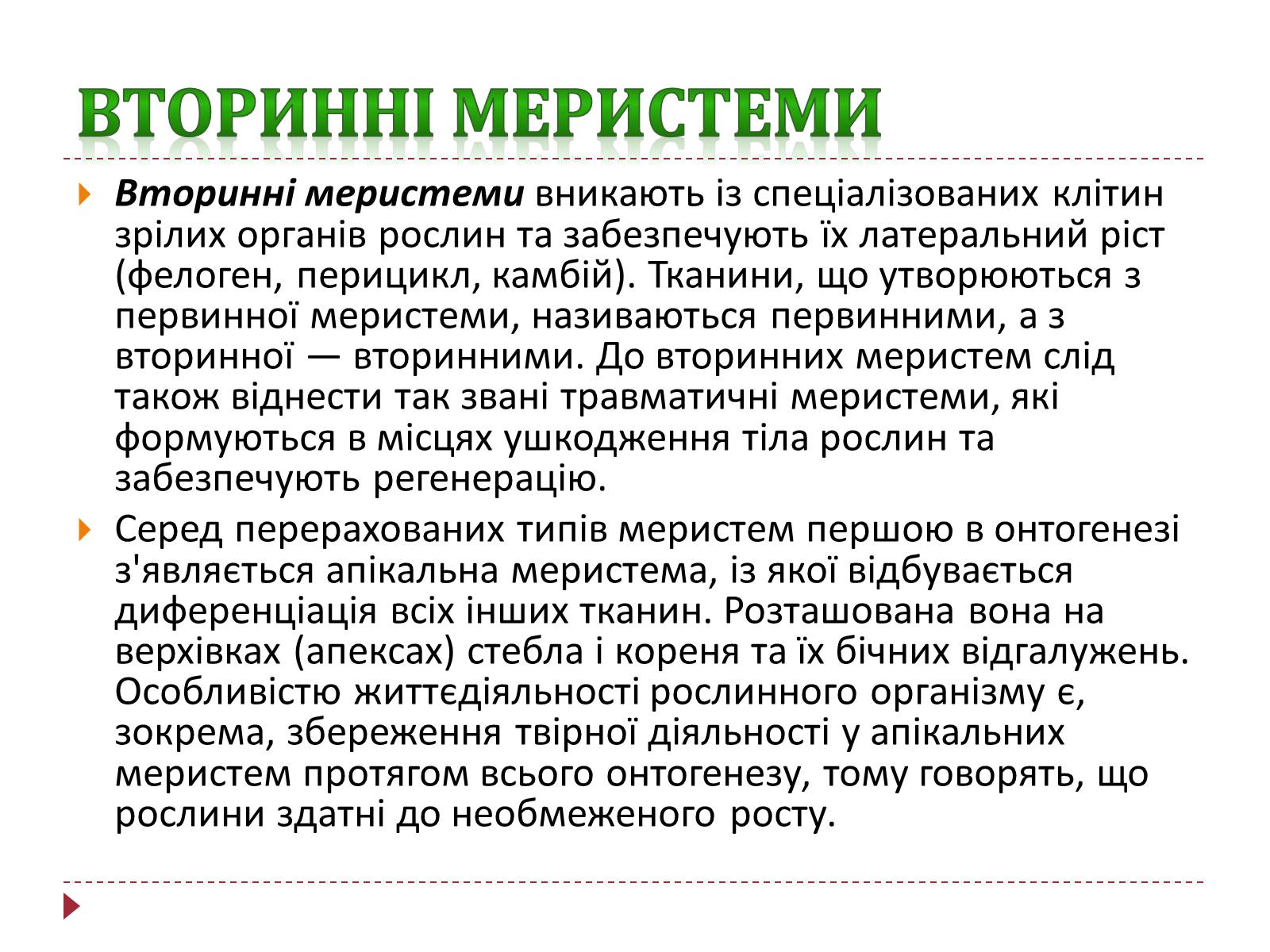Презентація на тему «Твірна рослинна тканина» - Слайд #11 Презентація на тему «Твірна рослинна тканина» - Слайд #11
