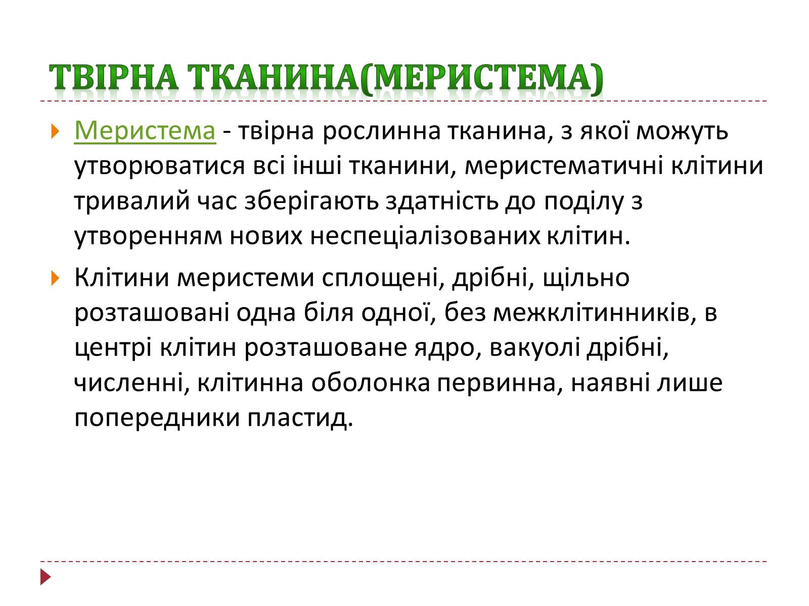 Презентація на тему «Твірна рослинна тканина» - Слайд #2 Презентація на тему «Твірна рослинна тканина» - Слайд #2