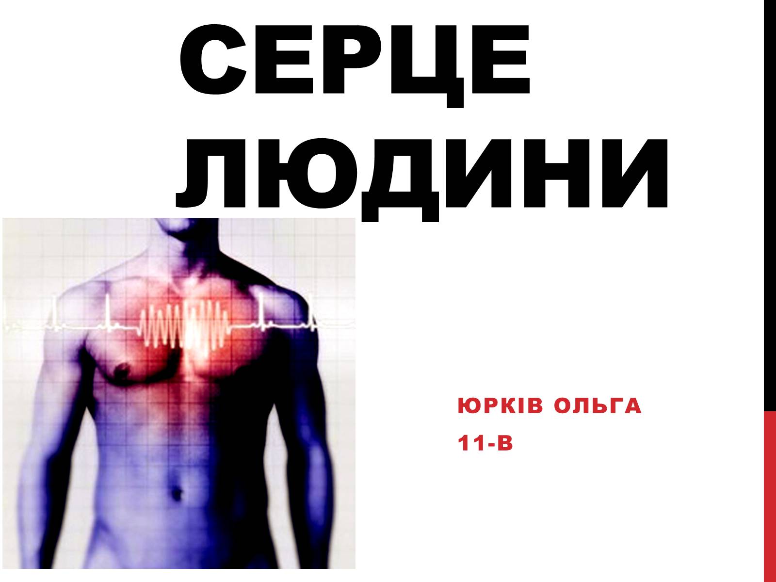 Презентація на тему «Серце людини» (варіант 2) - Слайд #1 Презентація на тему «Серце людини» (варіант 2) - Слайд #1