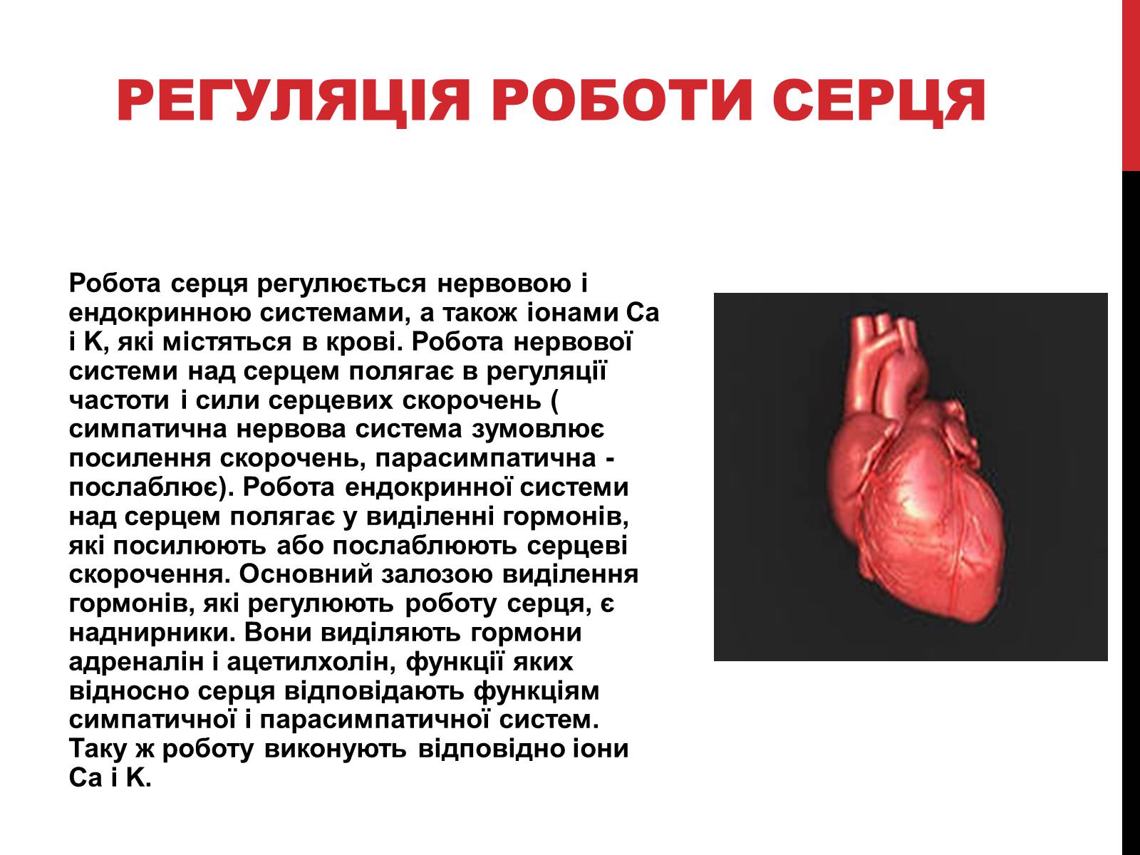 Презентація на тему «Серце людини» (варіант 2) - Слайд #9 Презентація на тему «Серце людини» (варіант 2) - Слайд #9