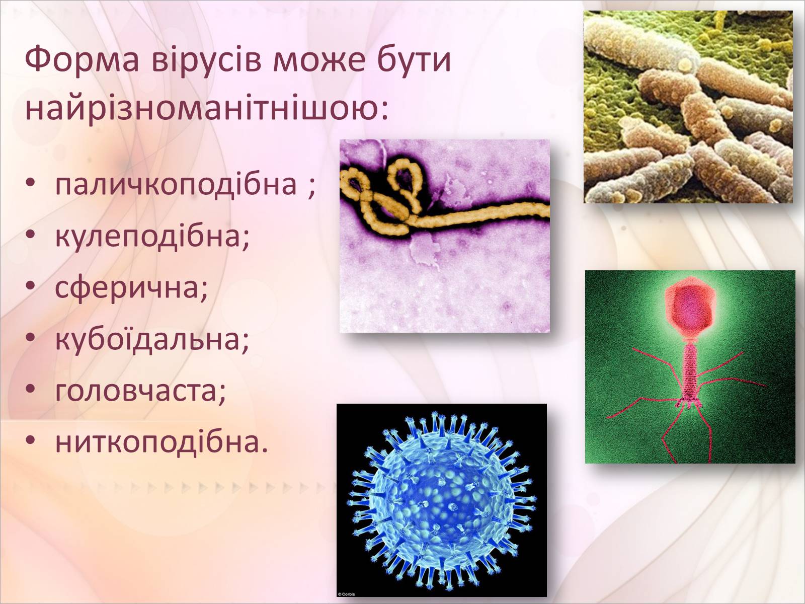Презентація на тему «Віруси» (варіант 17) - Слайд #7 Презентація на тему «Віруси» (варіант 17) - Слайд #7