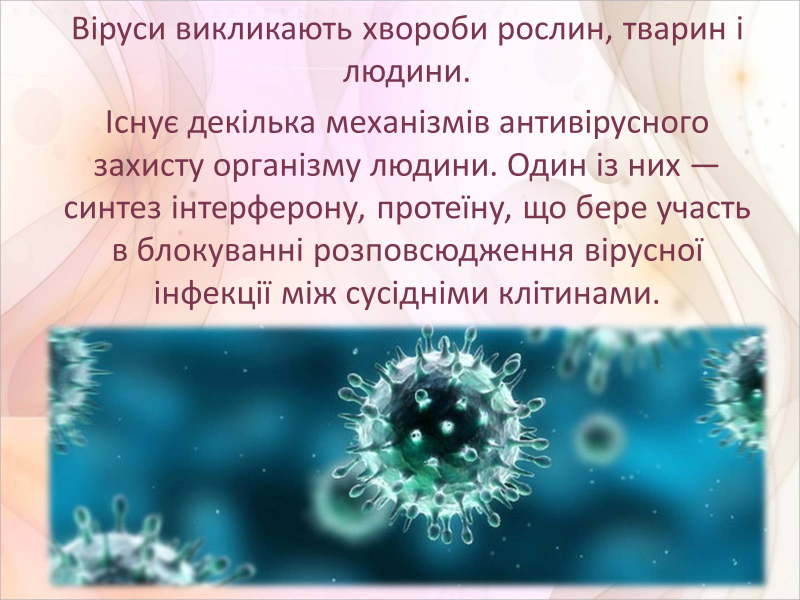Презентація на тему «Віруси» (варіант 17) - Слайд #9 Презентація на тему «Віруси» (варіант 17) - Слайд #9
