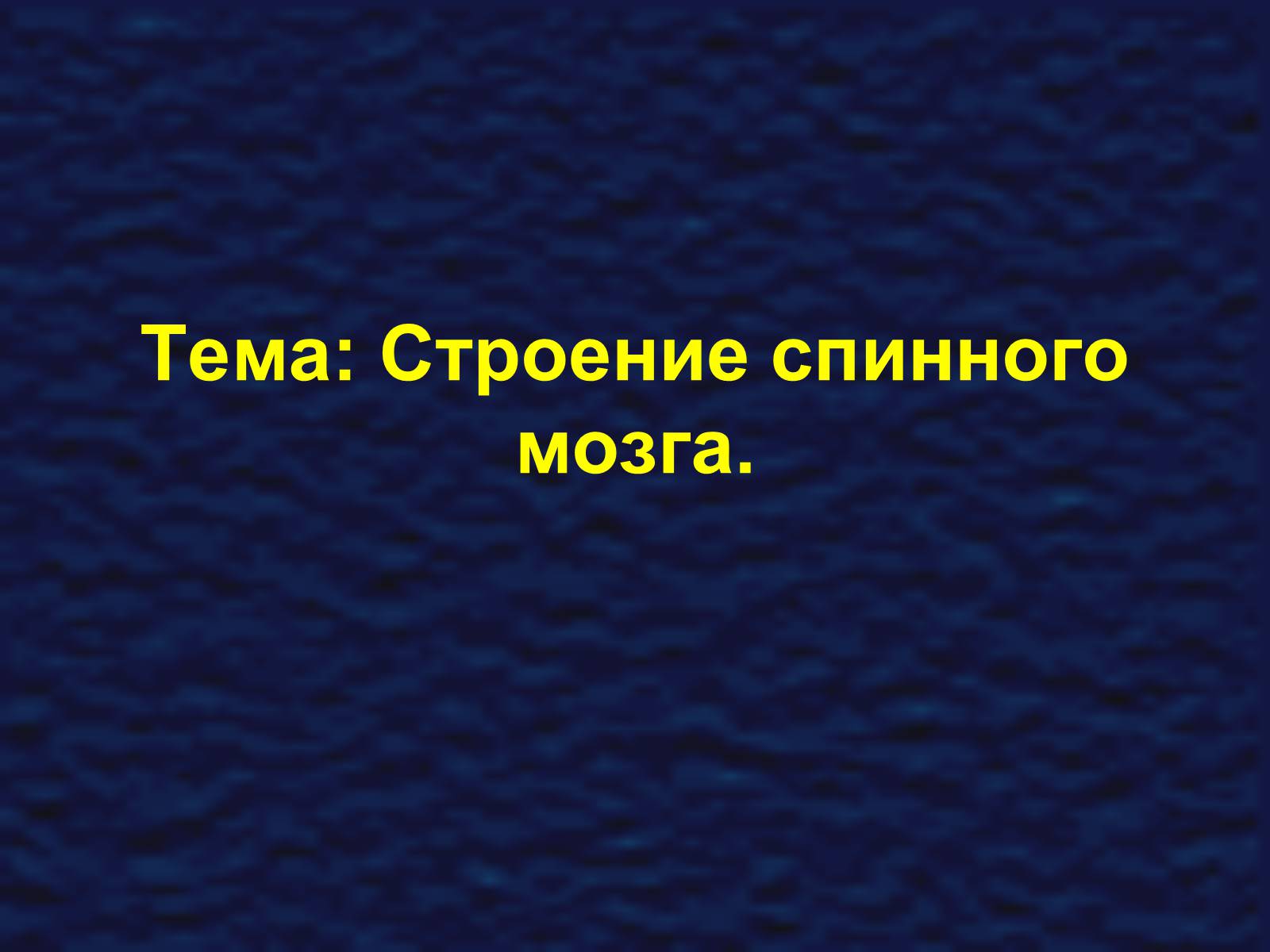 Презентація на тему «Строение спинного мозга» - Слайд #1 Презентація на тему «Строение спинного мозга» - Слайд #1