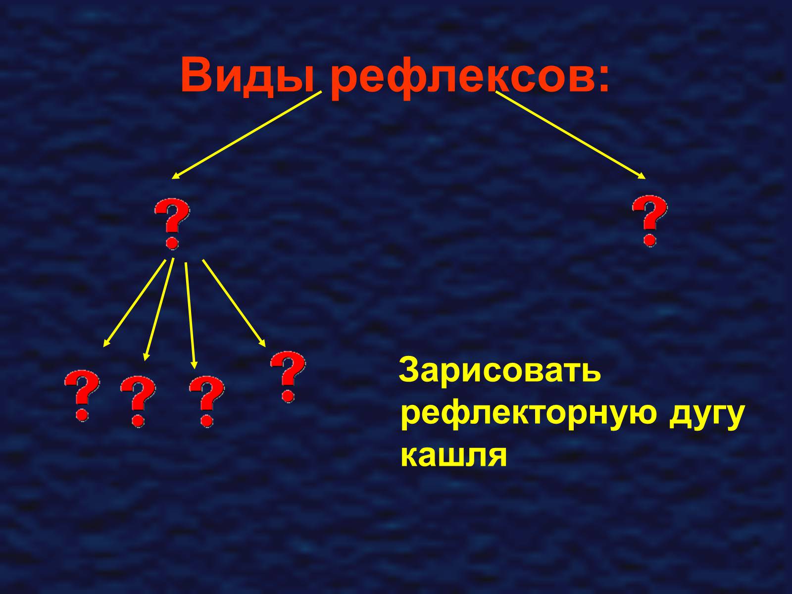 Презентація на тему «Строение спинного мозга» - Слайд #4 Презентація на тему «Строение спинного мозга» - Слайд #4