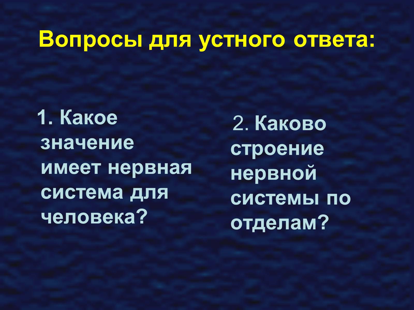 Презентація на тему «Строение спинного мозга» - Слайд #5 Презентація на тему «Строение спинного мозга» - Слайд #5