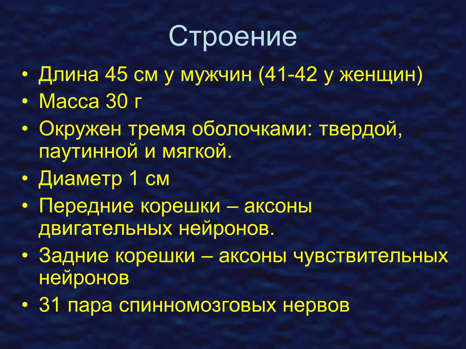 Презентація на тему «Строение спинного мозга» - Слайд #9 Презентація на тему «Строение спинного мозга» - Слайд #9