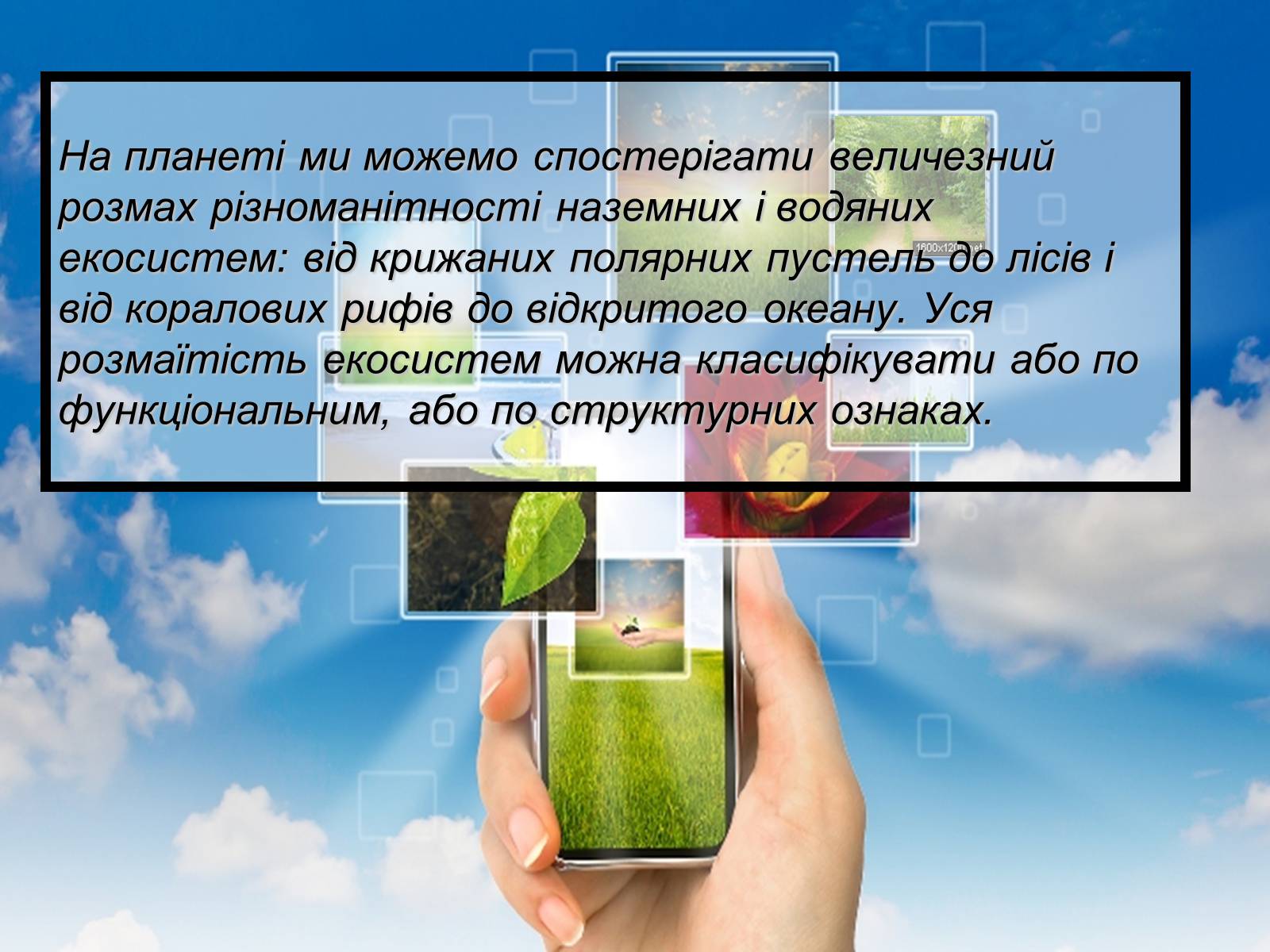 Презентація на тему «Основний результат еволюції» - Слайд #16 Презентація на тему «Основний результат еволюції» - Слайд #16