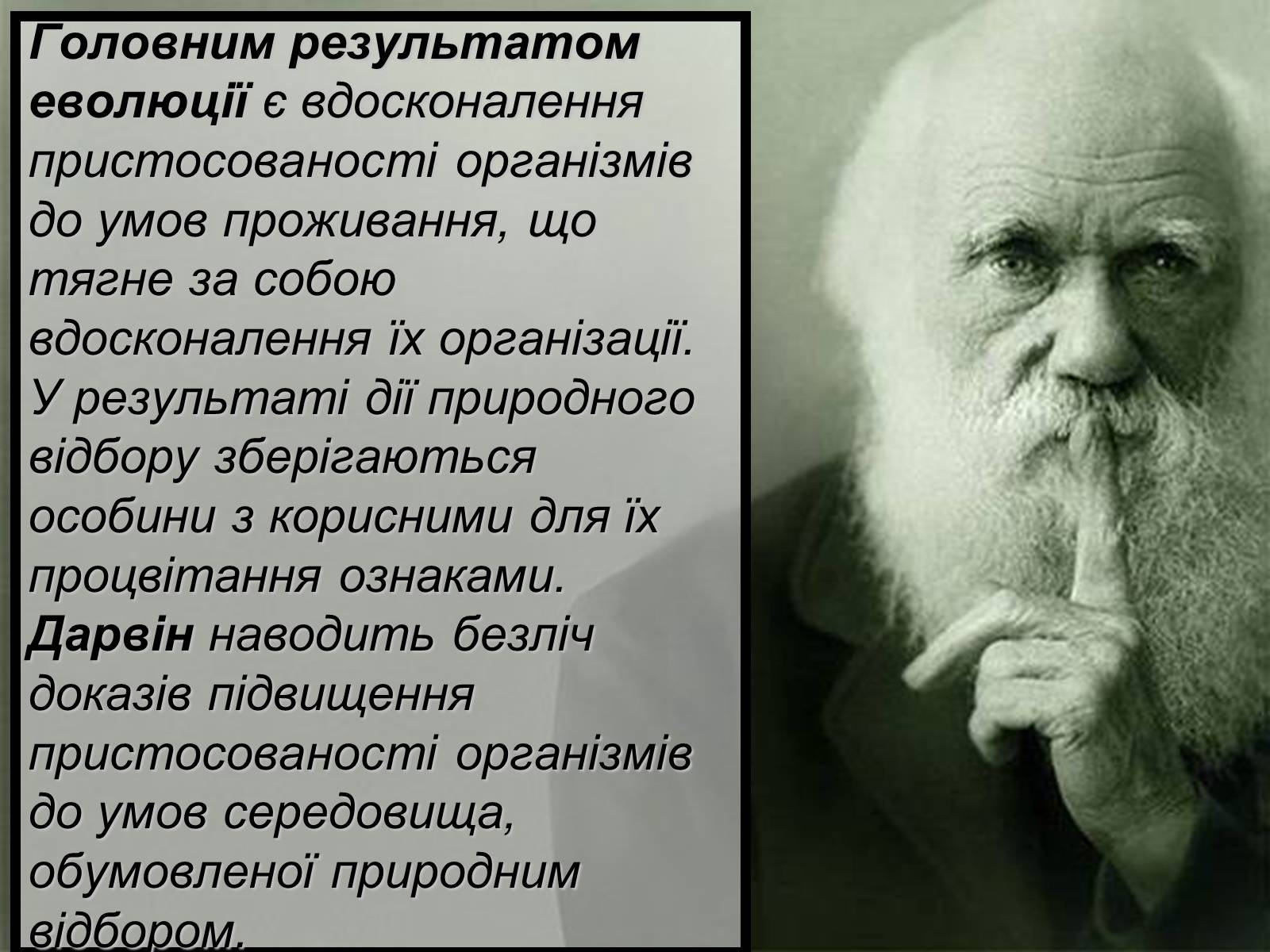 Презентація на тему «Основний результат еволюції» - Слайд #2 Презентація на тему «Основний результат еволюції» - Слайд #2