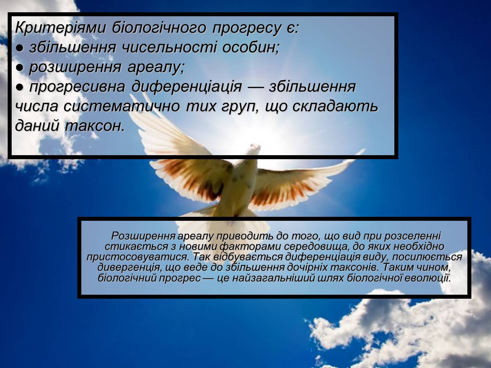 Презентація на тему «Основний результат еволюції» - Слайд #24 Презентація на тему «Основний результат еволюції» - Слайд #24