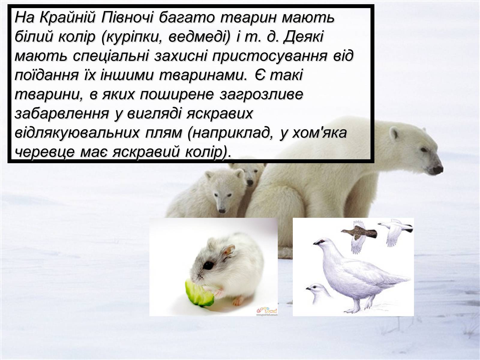 Презентація на тему «Основний результат еволюції» - Слайд #5 Презентація на тему «Основний результат еволюції» - Слайд #5