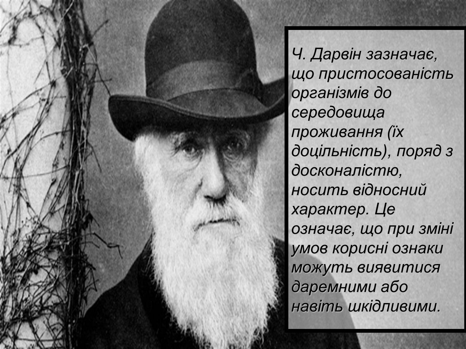 Презентація на тему «Основний результат еволюції» - Слайд #7 Презентація на тему «Основний результат еволюції» - Слайд #7