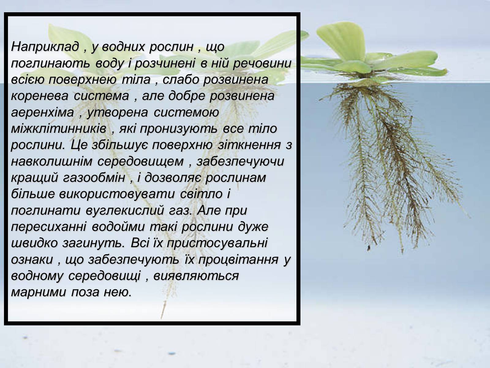 Презентація на тему «Основний результат еволюції» - Слайд #8 Презентація на тему «Основний результат еволюції» - Слайд #8