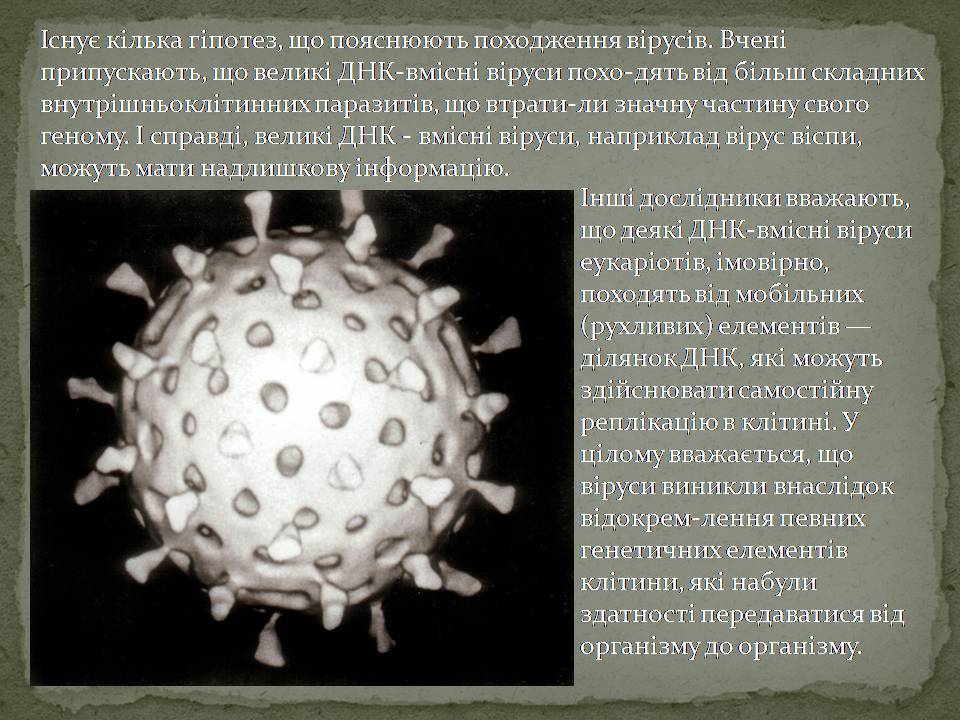 Презентація на тему «Віруси, їхня будова, життєвий цикл» (варіант 3) - Слайд #4 Презентація на тему «Віруси, їхня будова, життєвий цикл» (варіант 3) - Слайд #4