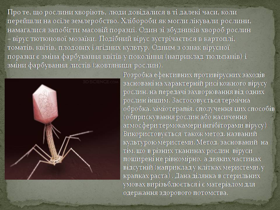 Презентація на тему «Віруси, їхня будова, життєвий цикл» (варіант 3) - Слайд #9 Презентація на тему «Віруси, їхня будова, життєвий цикл» (варіант 3) - Слайд #9