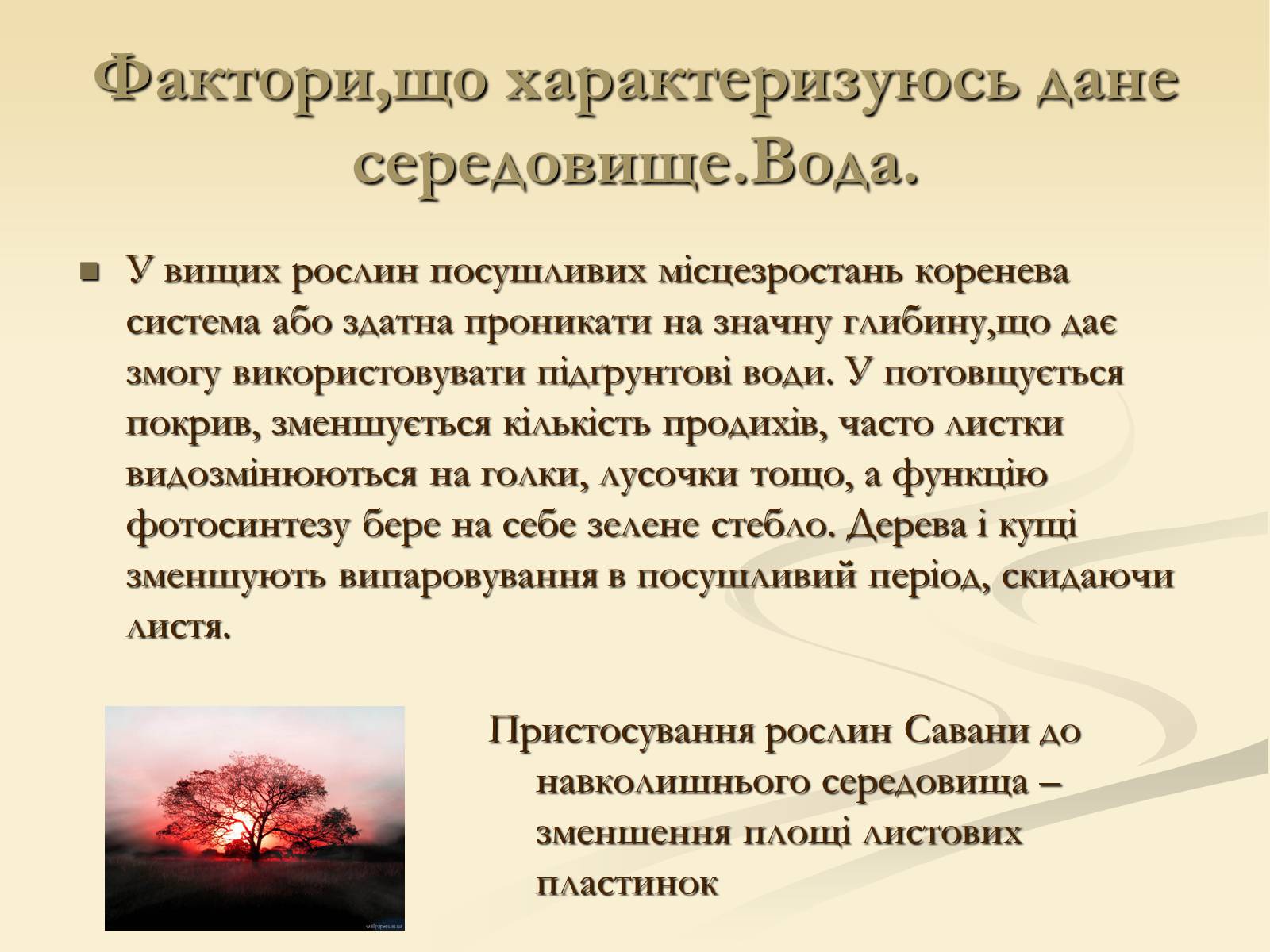 Презентація на тему «Наземно-повітряне середовище існування» (варіант 2) - Слайд #11 Презентація на тему «Наземно-повітряне середовище існування» (варіант 2) - Слайд #11