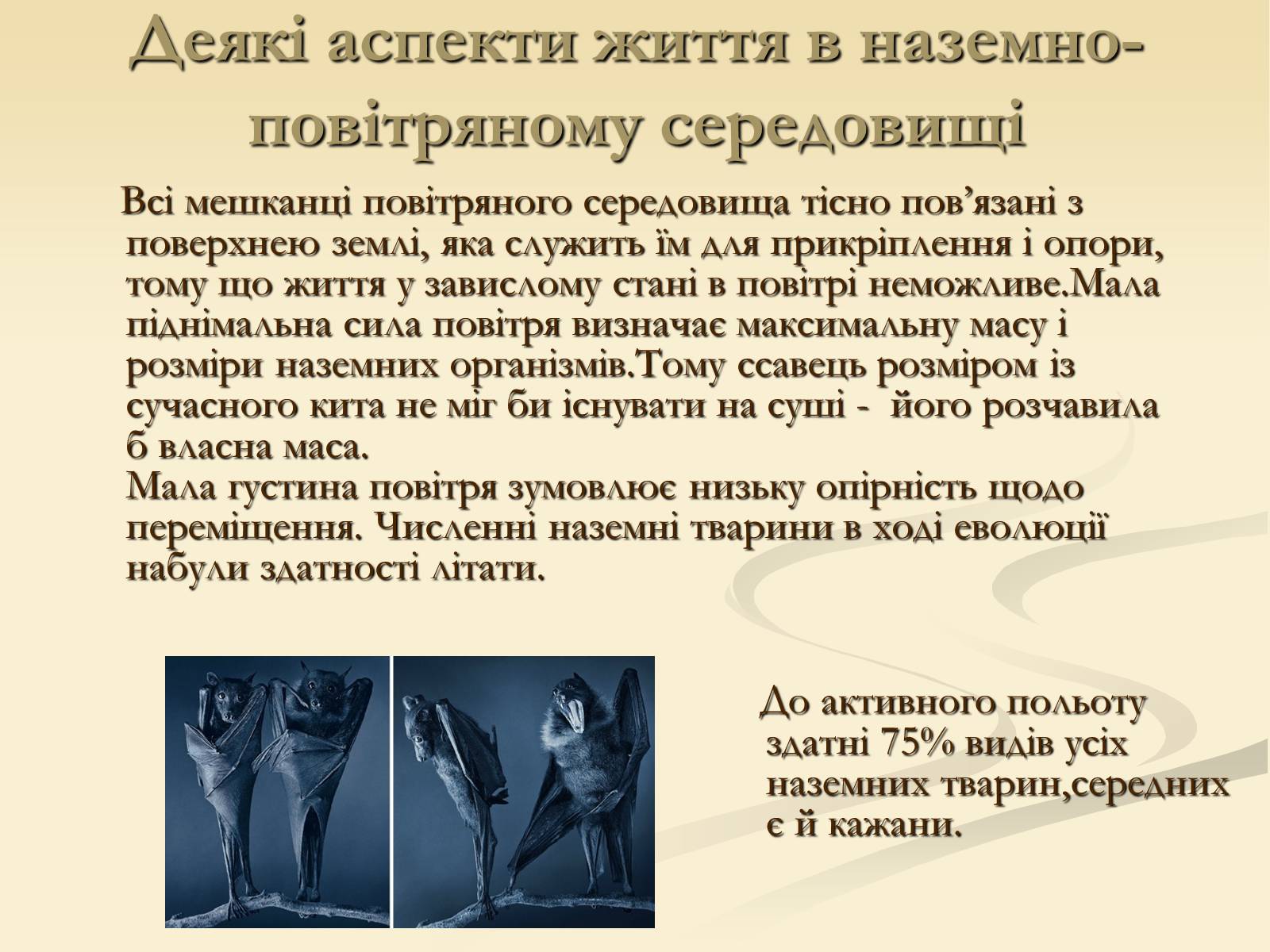 Презентація на тему «Наземно-повітряне середовище існування» (варіант 2) - Слайд #6 Презентація на тему «Наземно-повітряне середовище існування» (варіант 2) - Слайд #6