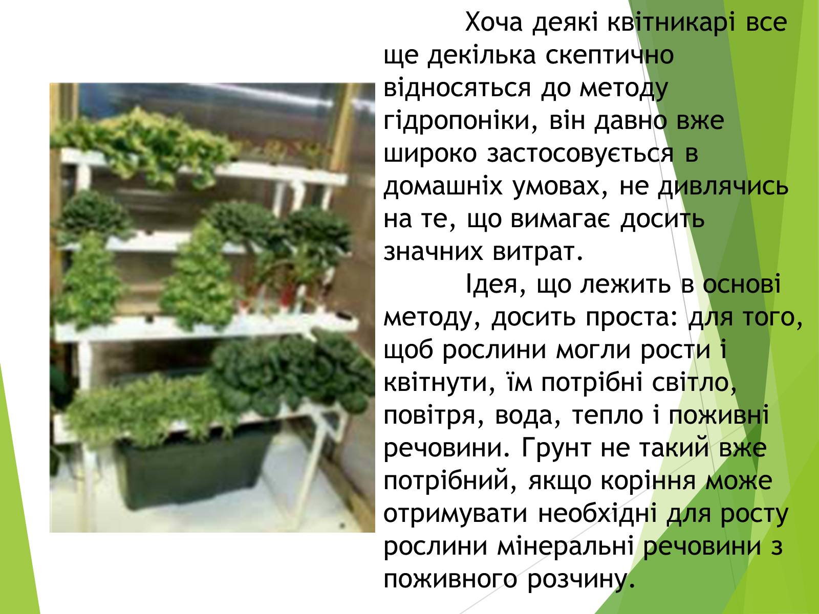 Презентація на тему «Вирощування культурних рослин методом гідропоніки» - Слайд #3 Презентація на тему «Вирощування культурних рослин методом гідропоніки» - Слайд #3