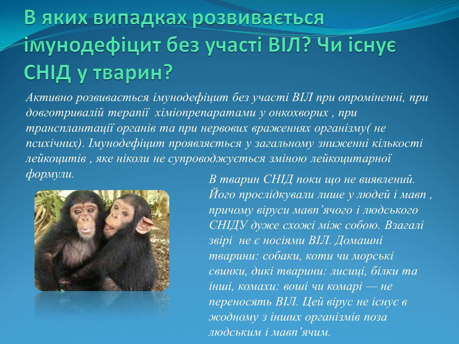Презентація на тему «СНІД» (варіант 10) - Слайд #8 Презентація на тему «СНІД» (варіант 10) - Слайд #8